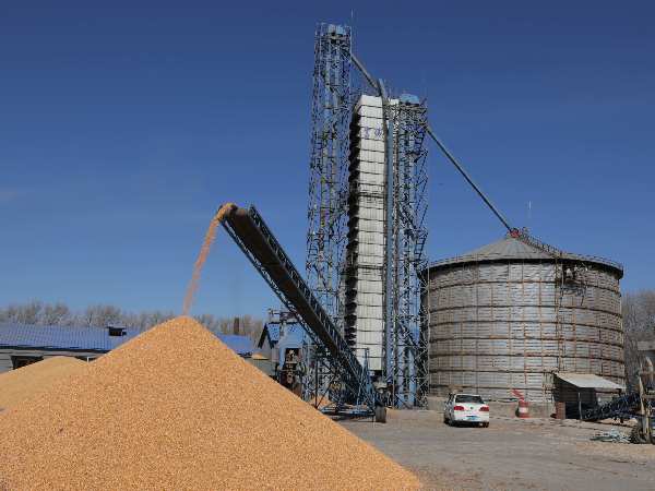 燒煤改燒秸稈大包直燃熱風爐，烘干成本省一半