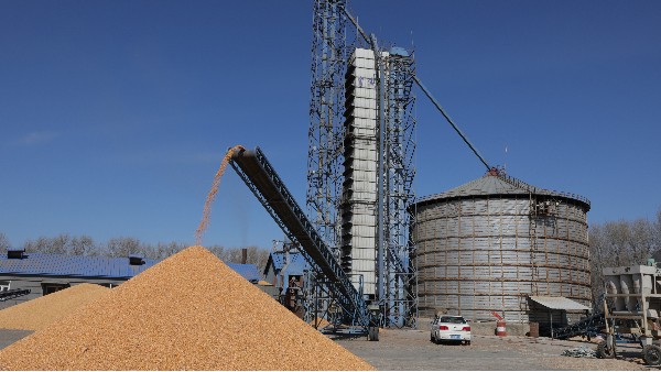 烘糧1萬噸成本僅24萬，秸稈打捆直燃熱風爐為農戶增收