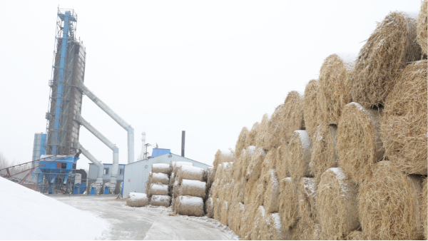 煤炭價(jià)格高，烘糧利潤低，吉林大安市500噸糧食烘干塔改用秸稈大包直燃鍋爐，每天省3萬