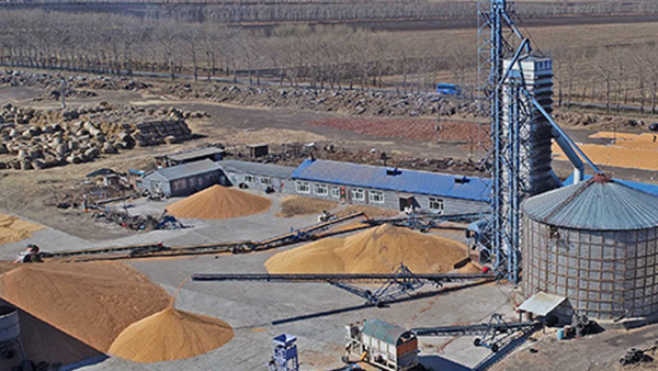 糧食烘干合作社如何做到年節(jié)省90萬元？利民萬佳鍋爐為您解析